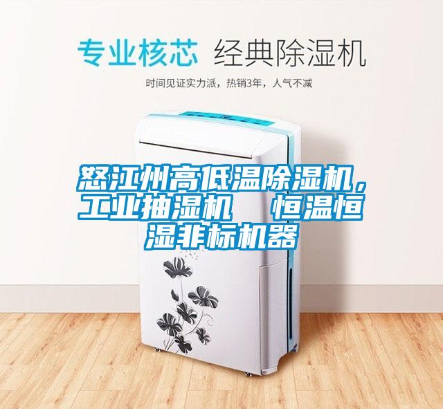 怒江州高低溫除濕機，工業(yè)抽濕機  恒溫恒濕非標機器
