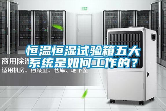 恒溫恒濕試驗(yàn)箱五大系統(tǒng)是如何工作的？