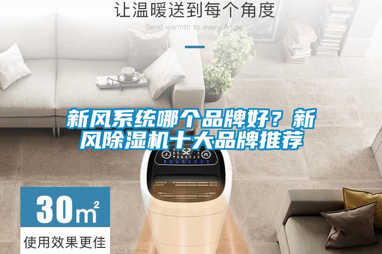 新風系統(tǒng)哪個品牌好？新風除濕機十大品牌推薦