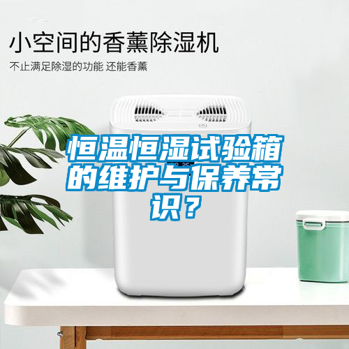 恒溫恒濕試驗(yàn)箱的維護(hù)與保養(yǎng)常識(shí)？