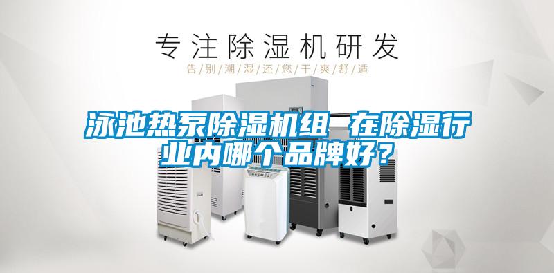 泳池?zé)岜贸凉駲C(jī)組 在除濕行業(yè)內(nèi)哪個品牌好？