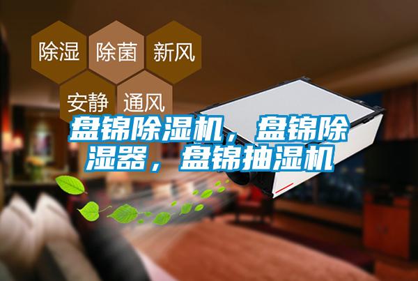 盤錦除濕機，盤錦除濕器，盤錦抽濕機