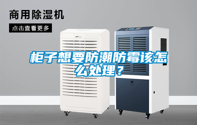 柜子想要防潮防霉該怎么處理？