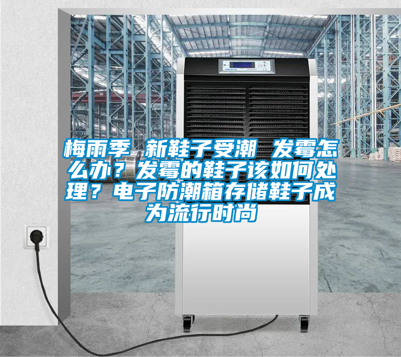 梅雨季 新鞋子受潮 發(fā)霉怎么辦？發(fā)霉的鞋子該如何處理？電子防潮箱存儲鞋子成為流行時尚