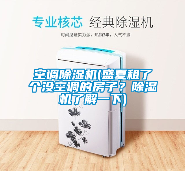 空調(diào)除濕機(jī)(盛夏租了個(gè)沒(méi)空調(diào)的房子？除濕機(jī)了解一下)