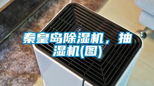 秦皇島除濕機，抽濕機(圖)