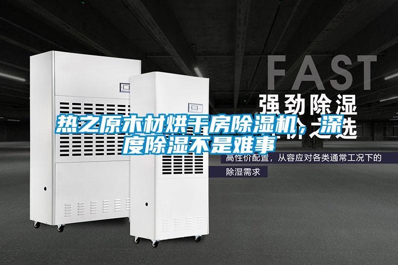 熱之原木材烘干房除濕機，深度除濕不是難事