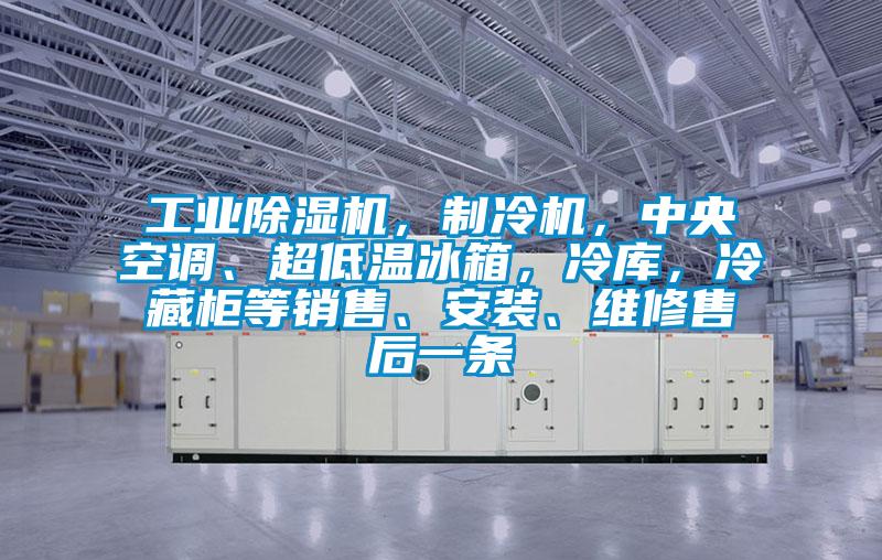 工業(yè)除濕機(jī)，制冷機(jī)，中央空調(diào)、超低溫冰箱，冷庫，冷藏柜等銷售、安裝、維修售后一條