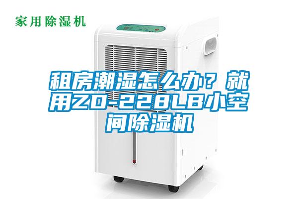 租房潮濕怎么辦？就用ZD-228LB小空間除濕機(jī)