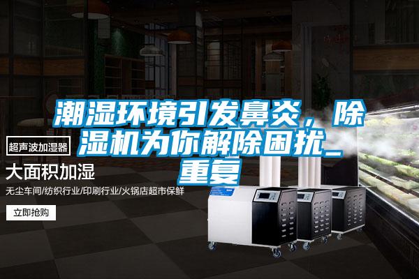 潮濕環(huán)境引發(fā)鼻炎，除濕機(jī)為你解除困擾_重復(fù)