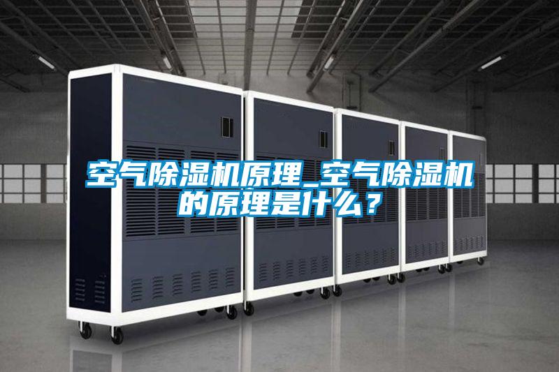 空氣除濕機原理_空氣除濕機的原理是什么？