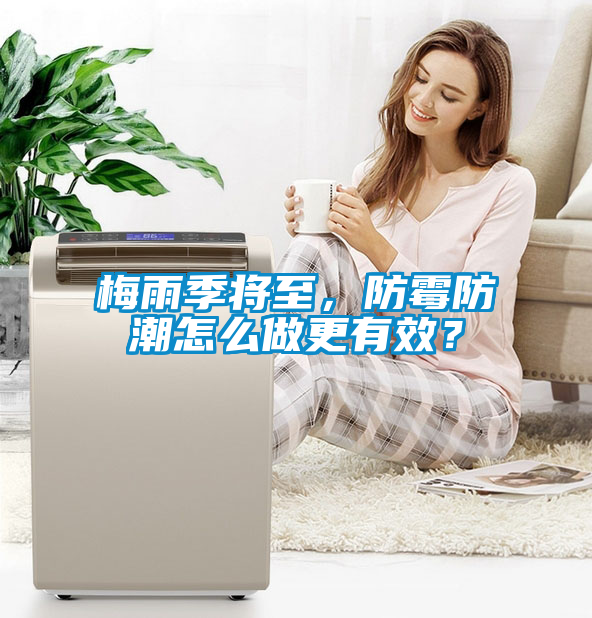 梅雨季將至，防霉防潮怎么做更有效？
