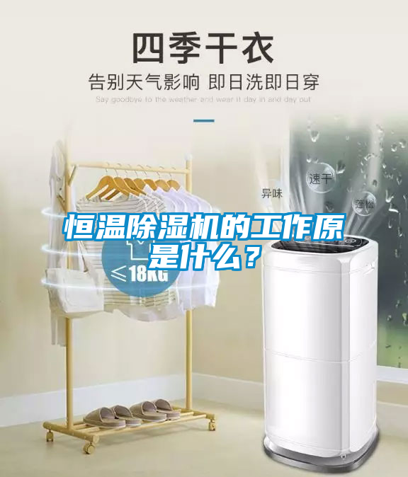 恒溫除濕機的工作原是什么？