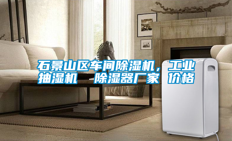 石景山區(qū)車間除濕機(jī)，工業(yè)抽濕機(jī)  除濕器廠家 價(jià)格