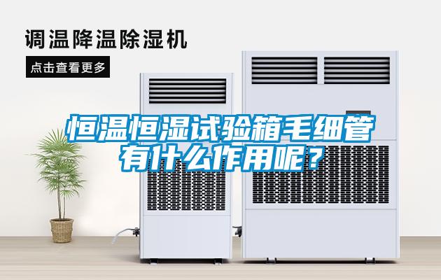 恒溫恒濕試驗(yàn)箱毛細(xì)管有什么作用呢？