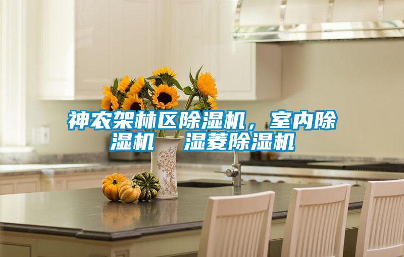 神農(nóng)架林區(qū)除濕機(jī)，室內(nèi)除濕機(jī)  濕菱除濕機(jī)