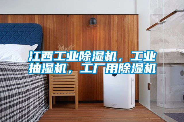 江西工業(yè)除濕機，工業(yè)抽濕機，工廠用除濕機