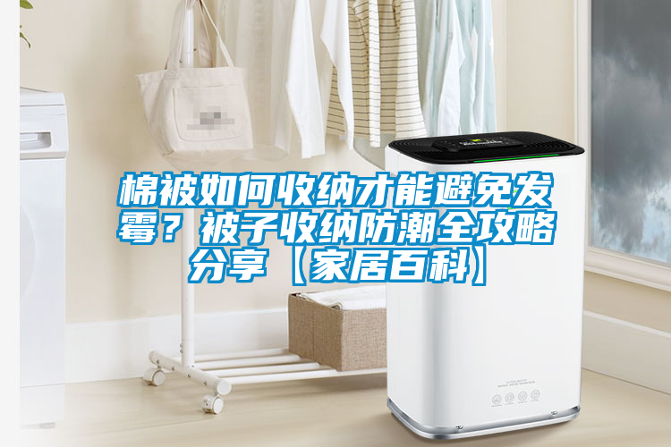 棉被如何收納才能避免發(fā)霉？被子收納防潮全攻略分享【家居百科】