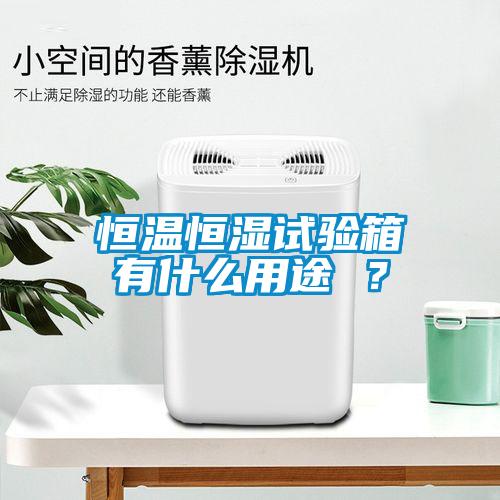 恒溫恒濕試驗(yàn)箱有什么用途 ？