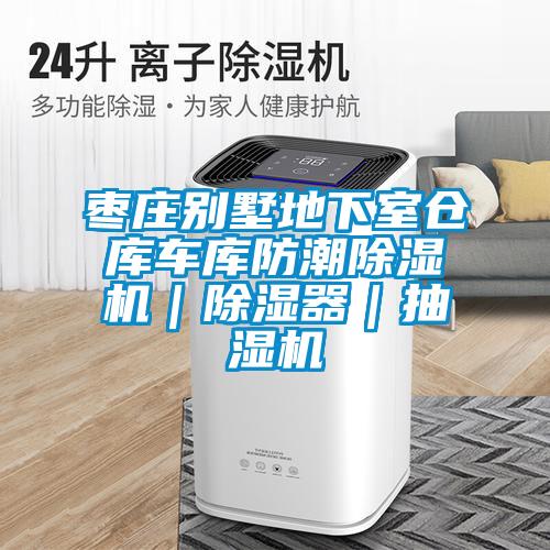 棗莊別墅地下室倉(cāng)庫(kù)車庫(kù)防潮除濕機(jī)｜除濕器｜抽濕機(jī)