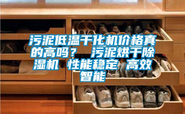 污泥低溫干化機(jī)價(jià)格真的高嗎？ 污泥烘干除濕機(jī) 性能穩(wěn)定 高效智能