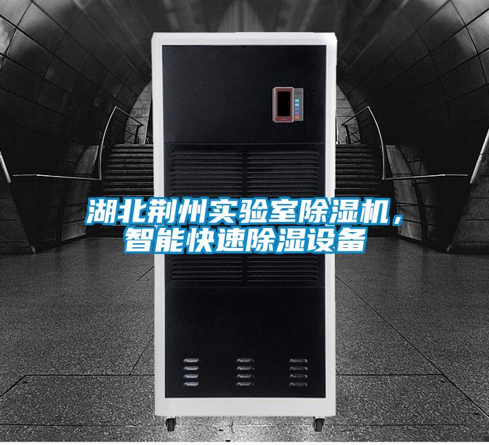 湖北荊州實驗室除濕機，智能快速除濕設(shè)備