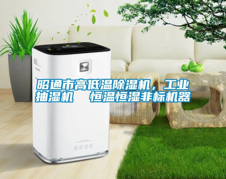 昭通市高低溫除濕機(jī)，工業(yè)抽濕機(jī)  恒溫恒濕非標(biāo)機(jī)器