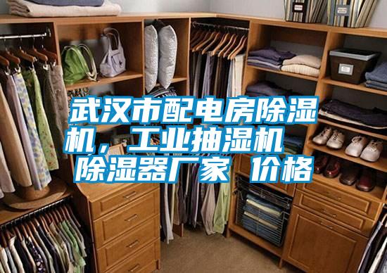 武漢市配電房除濕機，工業(yè)抽濕機  除濕器廠家 價格