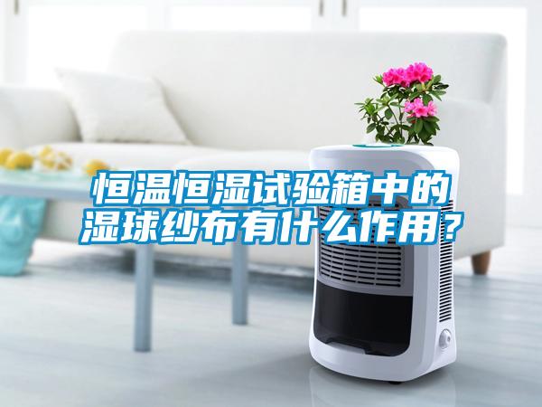 恒溫恒濕試驗箱中的濕球紗布有什么作用？