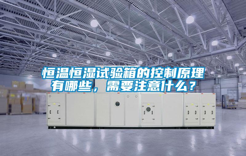 恒溫恒濕試驗(yàn)箱的控制原理有哪些，需要注意什么？