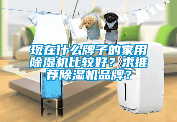 現(xiàn)在什么牌子的家用除濕機比較好？求推薦除濕機品牌？