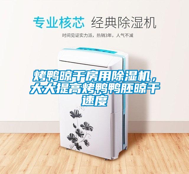 烤鴨晾干房用除濕機(jī)，大大提高烤鴨鴨胚晾干速度