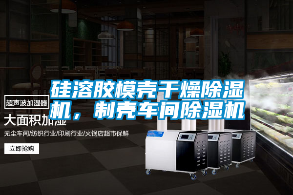 硅溶膠模殼干燥除濕機(jī)，制殼車間除濕機(jī)