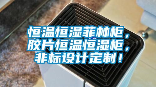 恒溫恒濕菲林柜，膠片恒溫恒濕柜，非標(biāo)設(shè)計(jì)定制！