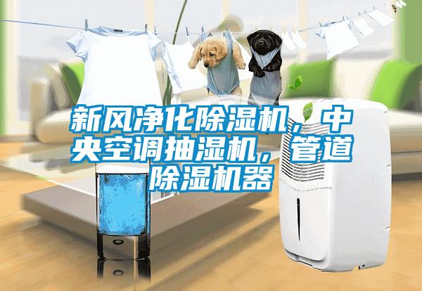 新風(fēng)凈化除濕機，中央空調(diào)抽濕機，管道除濕機器
