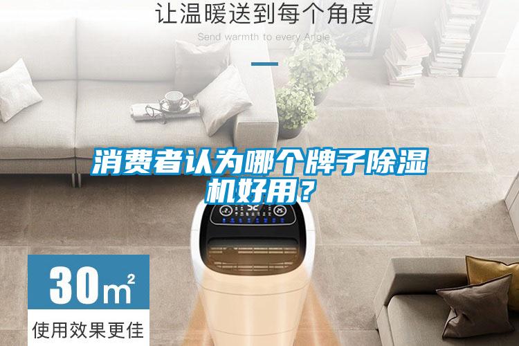 消費(fèi)者認(rèn)為哪個(gè)牌子除濕機(jī)好用？