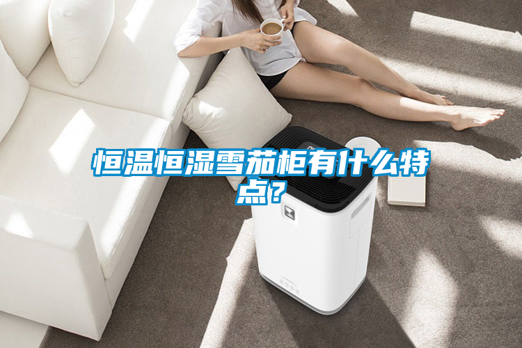 恒溫恒濕雪茄柜有什么特點？