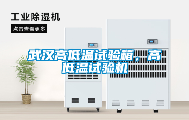 武漢高低溫試驗箱，高低溫試驗機