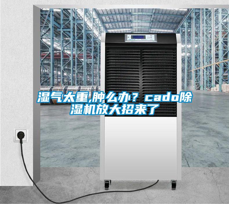 濕氣太重,腫么辦？cado除濕機(jī)放大招來了
