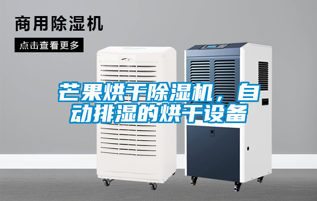 芒果烘干除濕機(jī)，自動(dòng)排濕的烘干設(shè)備