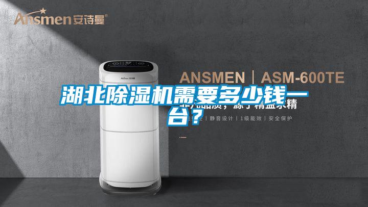 湖北除濕機(jī)需要多少錢一臺(tái)？