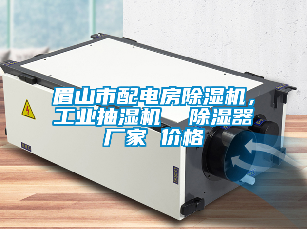 眉山市配電房除濕機，工業(yè)抽濕機  除濕器廠家 價格