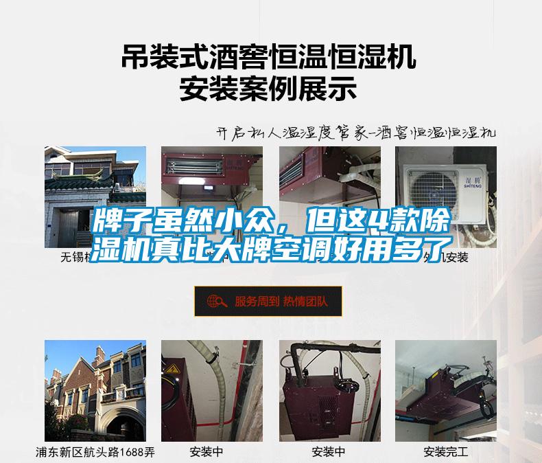 牌子雖然小眾，但這4款除濕機(jī)真比大牌空調(diào)好用多了