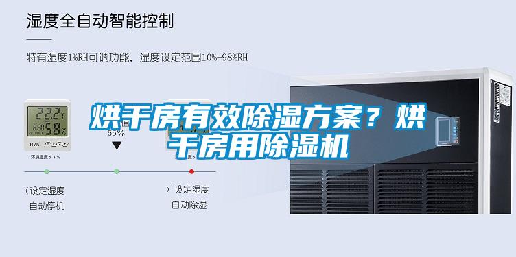 烘干房有效除濕方案？烘干房用除濕機(jī)