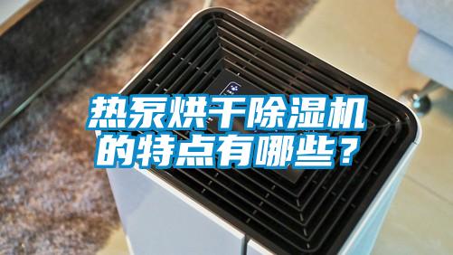 熱泵烘干除濕機的特點有哪些？