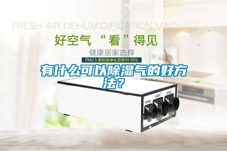 有什么可以除濕氣的好方法？