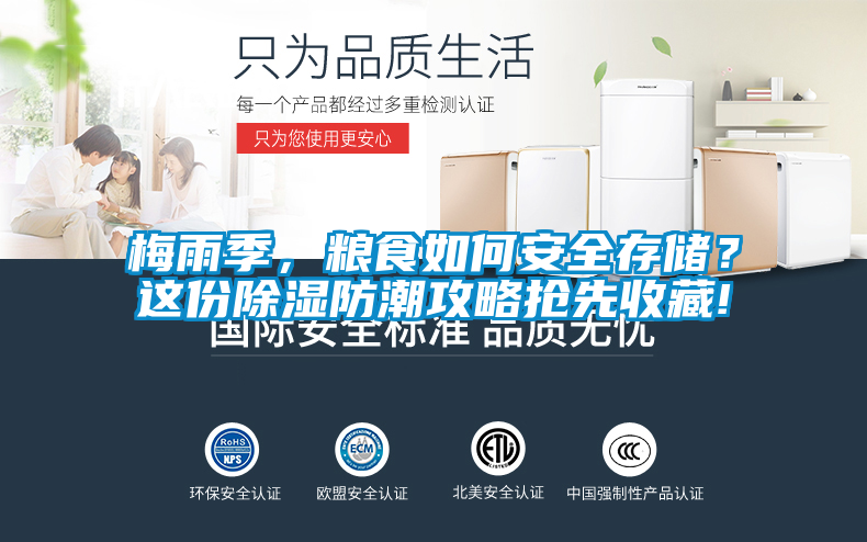梅雨季，糧食如何安全存儲(chǔ)？這份除濕防潮攻略搶先收藏!