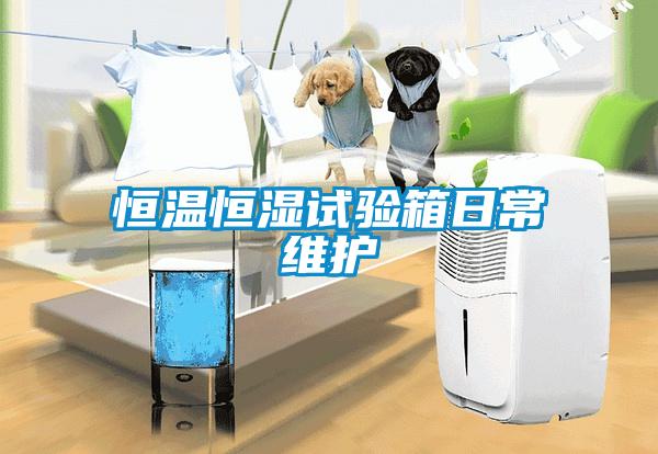 恒溫恒濕試驗箱日常維護(hù)