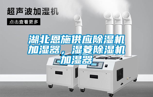 湖北恩施供應(yīng)除濕機加濕器，濕菱除濕機加濕器