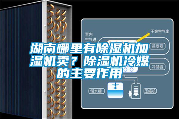 湖南哪里有除濕機加濕機賣？除濕機冷媒的主要作用